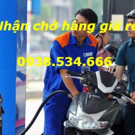 Đổ loại xăng nào tốt nhất?