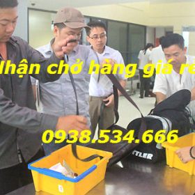 Kiểm tra an ninh trước khi lên máy bay