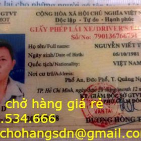 Nhiều tài xế xe khách dùng bằng giả