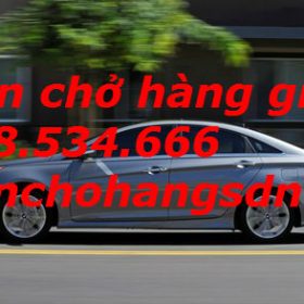 Ở Việt Nam đi xe nhiều ‘option’ là thừa thãi