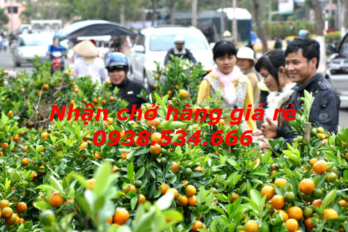 Nhận chở hàng tết 2016 giá rẻ tại quận 4