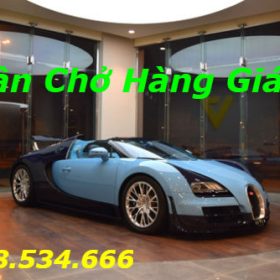 Bugatti Veyron hàng hiếm tìm khách mới