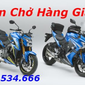 Suzuki giới thiệu hai mẫu môtô bản đặc biệt